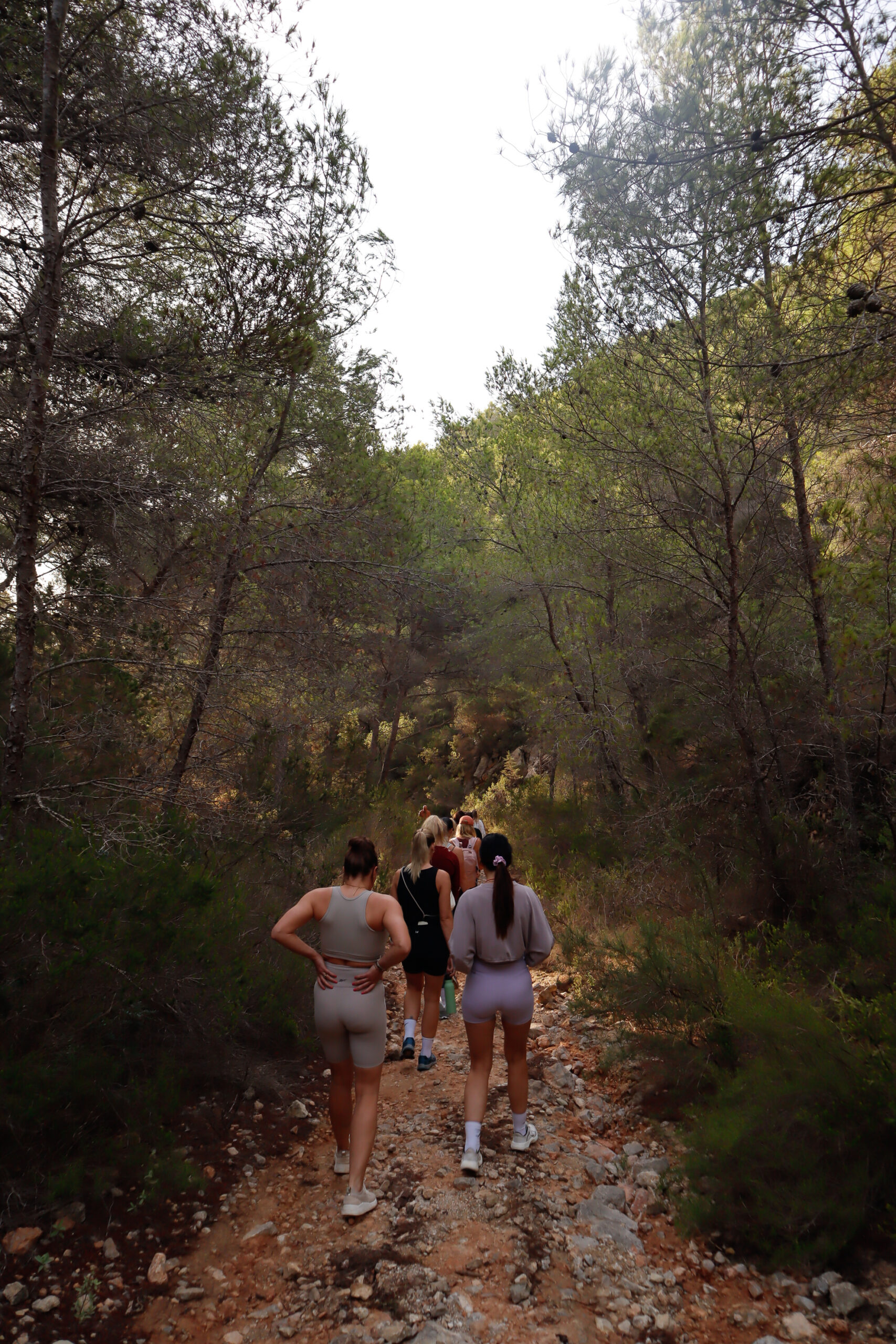 ONEDAYRETREATSDRENTHE_THEDIVINEWAVEIBIZA_2025_161